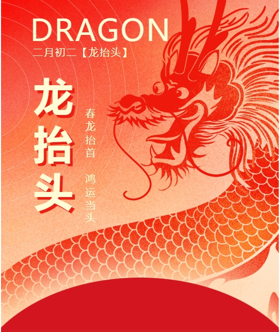 二月二龍?zhí)ь^，春龍振翅鴻運(yùn)啟 —— 佳木斯網(wǎng)云信息科技有限公司與您共迎新春盛景